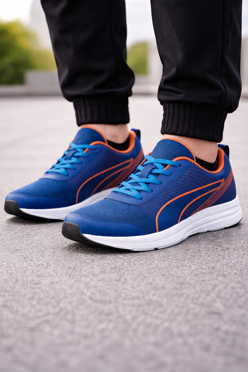 Puma: Blue-Orange