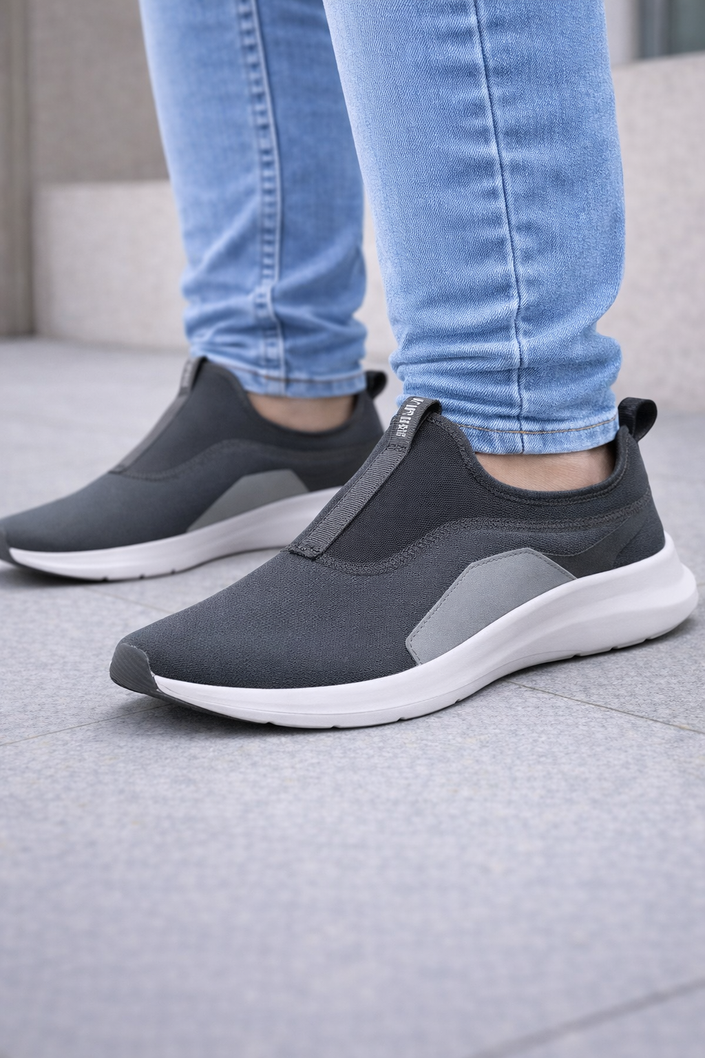 Puma: Grey Family
